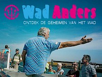 Wad Anders